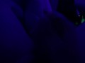 Jerking Off with the black light on 