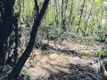 Jour 7 (VLOG) : TOURNAGE FORET