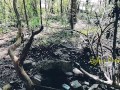 Jour 7 (VLOG) : TOURNAGE FORET