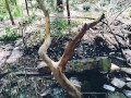Jour 7 (VLOG) : TOURNAGE FORET