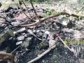 Jour 7 (VLOG) : TOURNAGE FORET