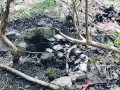 Jour 7 (VLOG) : TOURNAGE FORET