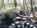 Jour 7 (VLOG) : TOURNAGE FORET
