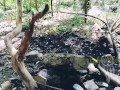 Jour 7 (VLOG) : TOURNAGE FORET
