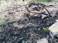 Jour 7 (VLOG) : TOURNAGE FORET