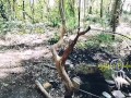 Jour 7 (VLOG) : TOURNAGE FORET