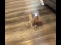 Ebony Maid Squirt All Over Kitchen Floor And Clean Up After follow on IG @no_face_bae