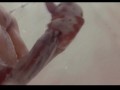  🍆 🧼🚿 soapy cock show 