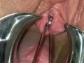 BDSM Pussy Torture Urethral Stretching Medical Fetish Speculum Peehole Play