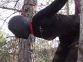 Tied up to a tree outdoor on sexy clothes, wearing pantyhose and high ankle boots heels, rough fuck