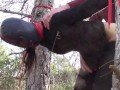 Tied up to a tree outdoor on sexy clothes, wearing pantyhose and high ankle boots heels, rough fuck