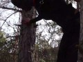Tied up to a tree outdoor on sexy clothes, wearing pantyhose and high ankle boots heels, rough fuck