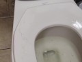 Uniqueen being disgusting peeing and then lickin all over the toilet and walls