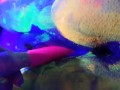 Hot tinder college amatuer slut shares vibrator with glowpaint and blacklight