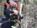 Отблагодарила свою девушку за букет кунилингусом в лесу - IkaSmokS