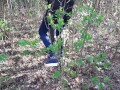 Отблагодарила свою девушку за букет кунилингусом в лесу - IkaSmokS