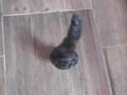 Rex BD Flip