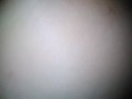 PinkMoonLust Farts Hairy Asshole Stinky Farting Gassy Ass Gas Stank Nasty Girl Toots
