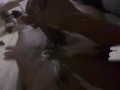 Big black cock with Cum load