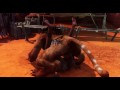 Wild Life - Maya Gets Warm Welcome by Locals