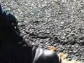 doc martens meets taco