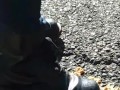 doc martens meets taco