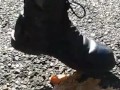 doc martens meets taco