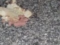 Hotdog stomping with boots
