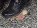 Hotdog stomping with boots