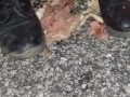 Hotdog stomping with boots