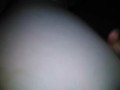 Asshole Anal Gas Fart Fetish Horny PAWG Butthole Bunghole Farting Horny Sexy