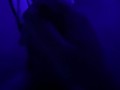 Black Light Masturbation 