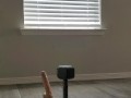 Dildo Trickshot Bloopers 