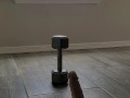 Dildo Trickshot Bloopers 