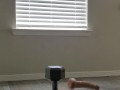 Dildo Trickshot Bloopers 
