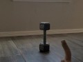 Dildo Trickshot Bloopers 