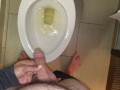 She aims his dick at the hotel toilet