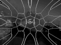 500 Subscribers | DownWindWings