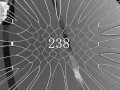 500 Subscribers | DownWindWings