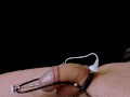 Amazing Estim urethral plug - Hands free cum