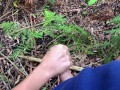 Ride with my girlfriend in the forest ends in a lot of cumshot