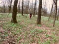 My first outdoor sex in the park