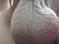 Black Balls dancing and dangling. Suck them gently and COME LICK MY TINT. Pee finish...
