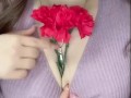 【Japanese Culture】~Mother’s Day~ if ur mom has big boobs?