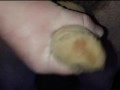 Nylonschwanz beim Porno wichsen