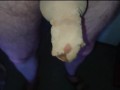 Nylonschwanz beim Porno wichsen