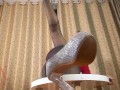 Nice lady in pantyhose and heels. Striptease at the round table 7