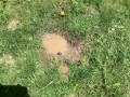 Feet getting nice and messy in mud
