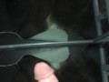 Ejac explosive sur le mirroir