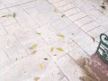 MI mejor amigo ME PRESTA a SU NOVIA CULONA mientras el se va de antro